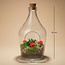 Love in a Bottle - DIY Open Planten terrarium - Ø 16 cm ↑ 30 cm
