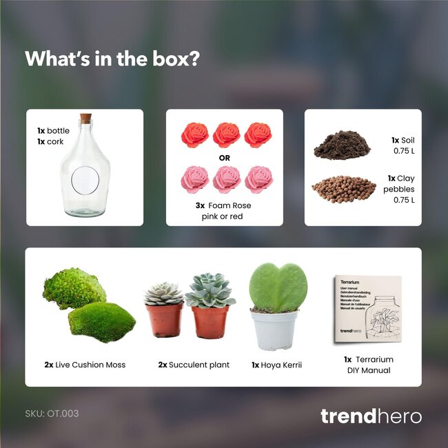 Love in a Bottle - DIY Open Planten terrarium - Ø 16 cm ↑ 30 cm