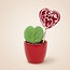 Sweetheart Plantenset - Groene Mini Gift - Pot & Plantenset - Rood