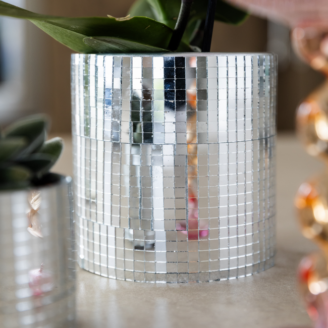 Paarse Vienna orchidee + Disco sierpot – potmaat Ø9cm | bloeiende kamerplant – vers van de kweker