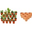 Mini Cactus Mix - 18 Stuks - Ø 8,1 cm - Hoogte: 5-10 cm - Terracotta Potten