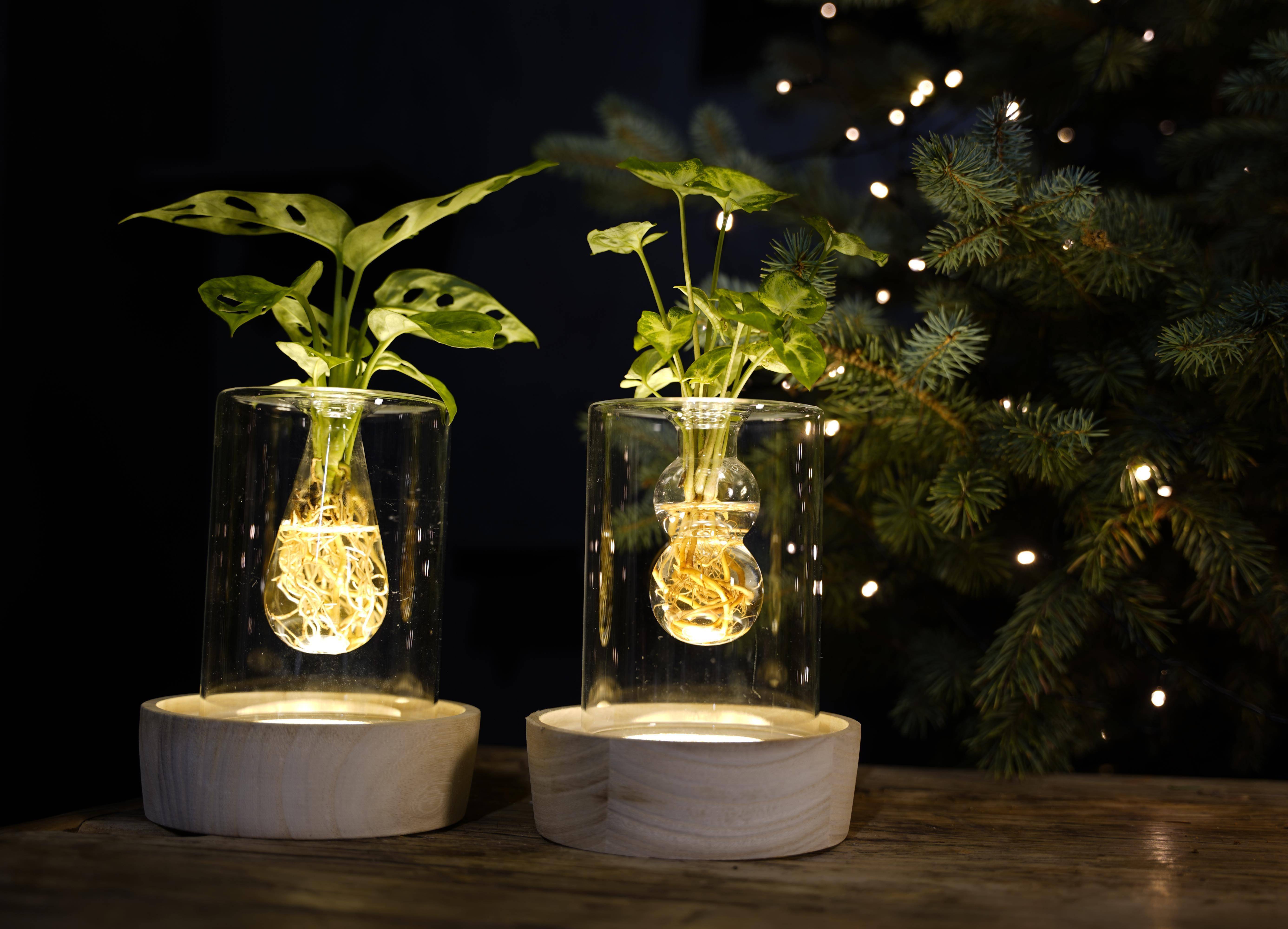 Kerstmis | MIX In Sydney Glas + LED - 1 stuk - Ø7cm - ↕20cm