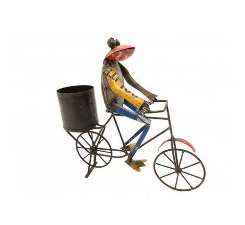 Varios Kikker op de fiets van gerecycled blik H 43