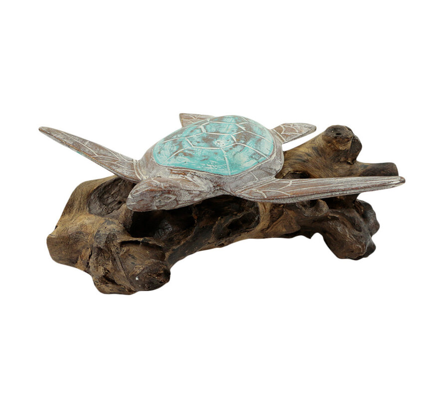 Schildpad op drijfhout