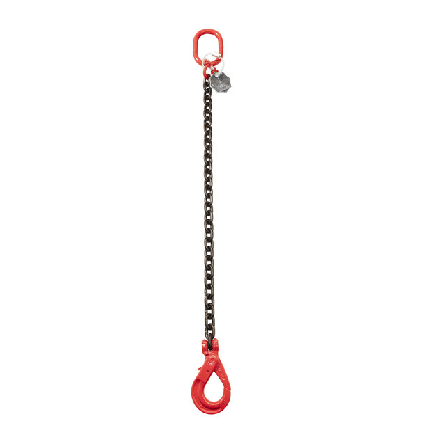 VDH VDH Kettenleiter mit Sicherheitshaken, Ø 6 mm
