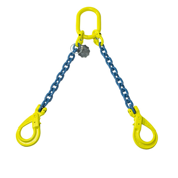 VDH Chaîne VDH 2-brins avec crochets auto-verrouillants, Grade 100