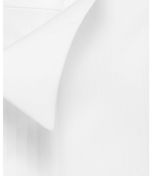 Profuomo Shirt Wing Collar White