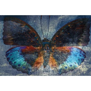 Glasschilderij 'Vlinder'