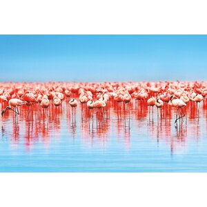 Glasschilderij 'Flamingo's'