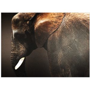 Canvas schilderij 'Dark Elephant'