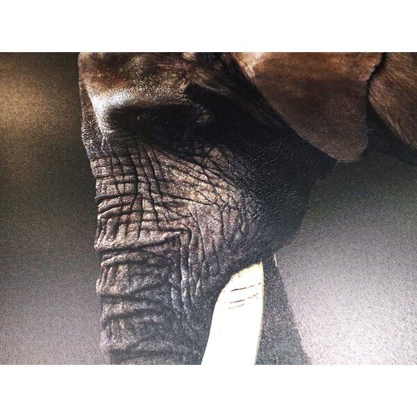 Mondiart Canvas schilderij Mondiart 'Dark Elephant'