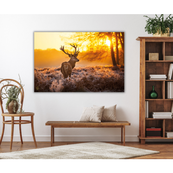 Mondiart Aluart schilderij Mondiart 'Deer in Morning Sun'