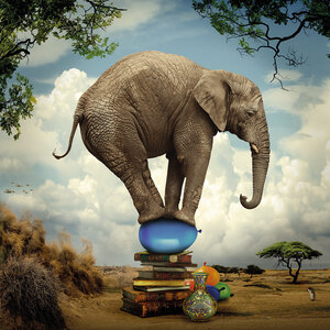 Aluart schilderij 'Balancing elephant'