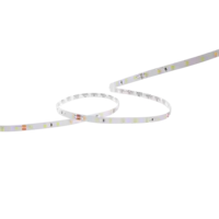 Artecta Artecta | Cartago Ribbon 2835 - 64 - CCT | CRI 90 | 64 LEDs/m | 4,8 W/m | 24V