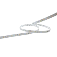 Artecta Artecta | Havana Ribbon 2835 - Or | 1700K | CRI 90 | 24V