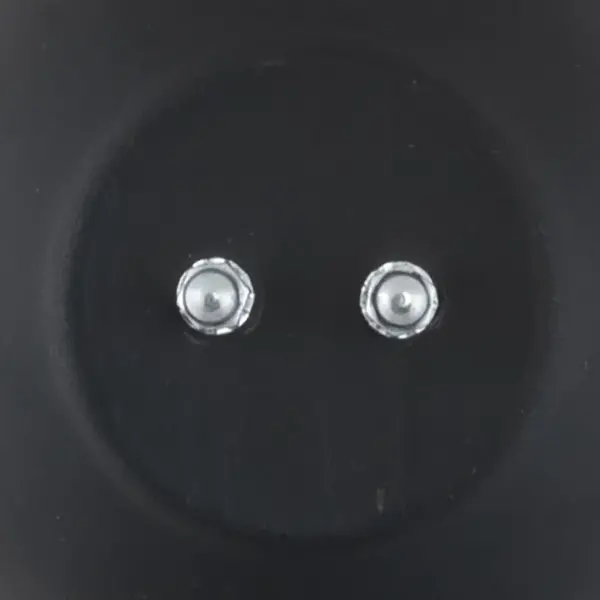 Showtec Showtec | 30161 | Parcan 30 with E27 socket | Colour: Black