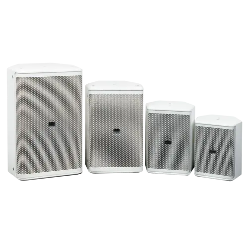 DAP DAP | Xi-10 | Passive 10" installation speaker