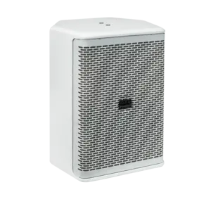 DAP DAP | Xi-6 | Haut-parleur d'installation passif 6 pouces