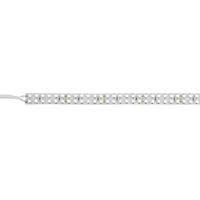 Artecta Artecta | A0852061 | Havana Ribbon 3000 K 240 - 24 V | 5m 3528 led 1536-1750 Lm/m