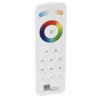 Artecta | A9915856 | RGB+CCT Handheld Remote | Connectivité RF et Bluetooth