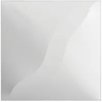 Wentex Wentex | 88807 | 3D Deco Panel Double Wave | Voor 2 x Wentex SET Frame | A Module 100 x 100 cm