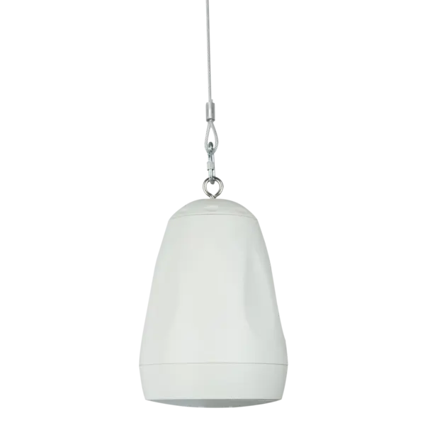 DAP DAP | DPS-530 | Pendant Speaker | Passieve 5,25" hangende Luidspreker