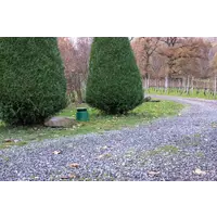 DAP DAP | GS | Passieve Tuinluidspreker | Kleur: Groen