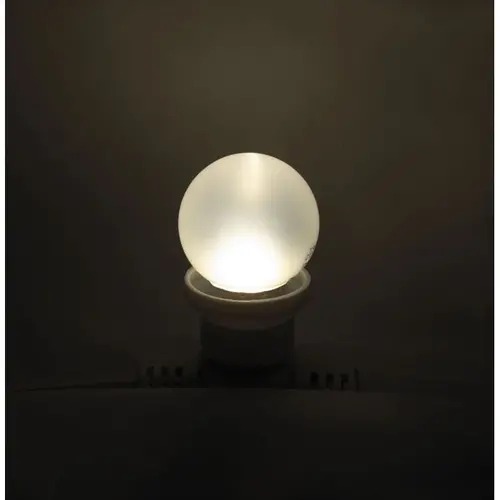 Showgear Showgear | E324007 | G45 LED Bulb E27 | 1 W - warm white - non-dimmable - frosted cover