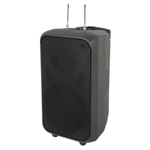 DAP DAP | D2611 | PSS-110mKIII | 10" accu speaker