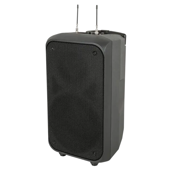 DAP DAP | D2611 | PSS-110mKIII | 10" accu speaker