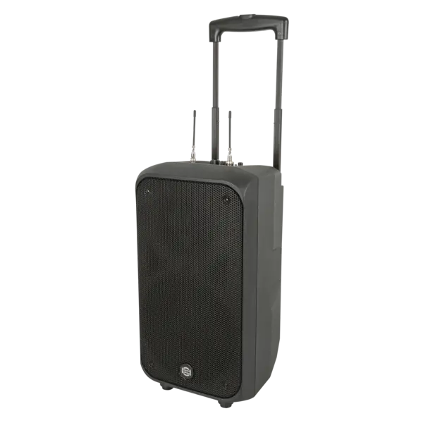 DAP DAP | D2611 | PSS-110mKIII | 10" accu speaker