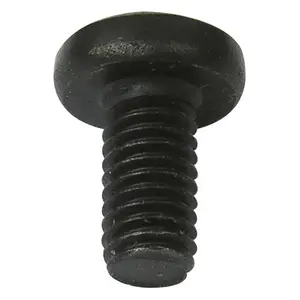 Showgear Showgear | M6 kruiskopschroef | 20mm | per stuk