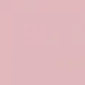 LEE Filters Filtre LEE | rouleau ou feuille | NR.186 LEE Filters Filtre LEE | rouleau ou feuille | NR.186