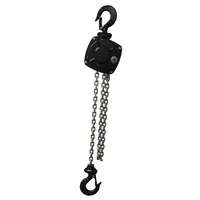 ELLER ELLER | ELPHEL-00500 | Power Tool takel | PHEL | 0,5t | Kleur: Zwart