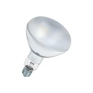 Osram Osram | 4008321543929 | UV-lamp voor technische toepassingen | U VITALX FR 300W | 230V | E27