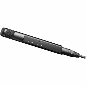 Sennheiser* Sennheiser | 002872 | Instrument microphone | condenser | MKH 30 P 48 | bidirectional | 48V phantom | XLR-3 connector | Colour: Black | includes shockmount and pop cap