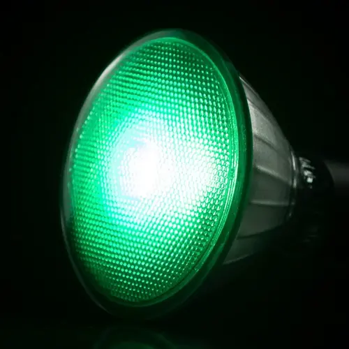 Segula* Segula | SG-50763 | Lampe LED | Réflecteur PAR 38 | Couleur : Vert | E27 | 660 lm | IRC+80