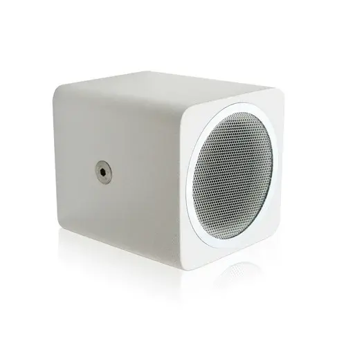 Voice-Acoustic* Voice-Acoustic | Enceinte d'installation Alea-4 | Haut-parleur ultra-compact de 4 pouces pour le médium-aigu