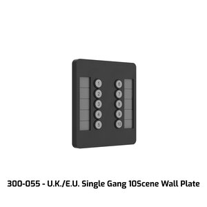 Chamsys ChamSys | CS300055 | GeNetix 10Scene Wall Plate (Dual Pack) EU, incl. Front in b/w