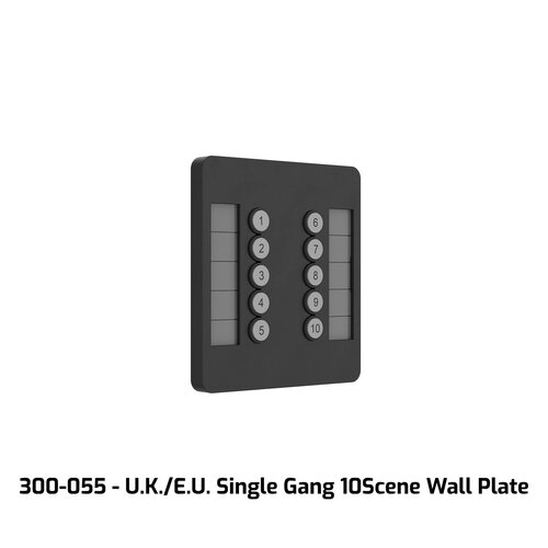 Chamsys ChamSys | CS300055 | GeNetix 10Scene Wall Plate (Dual Pack) EU, incl. Front in b/w