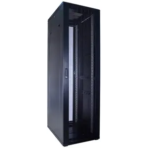 DSIT | 42U serverkast met geperforeerde deur 600x800x2000mm (BxDxH)