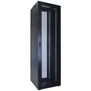 DSIT | 42U server cabinet with perforated door 600x600x2000mm (WxDxH)