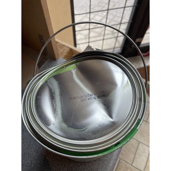 Rosco Rosco | Chroma key verf  | Pot van 4L | Dekking  6m2 per liter | groen