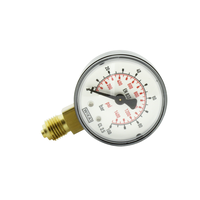 Pea Soup* Pea Soup | Pressure gauge vertical G/4 0-100 | Diameter: 50mm