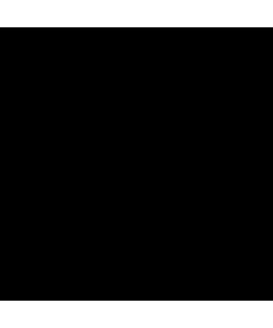RAL 9005 - schwarz