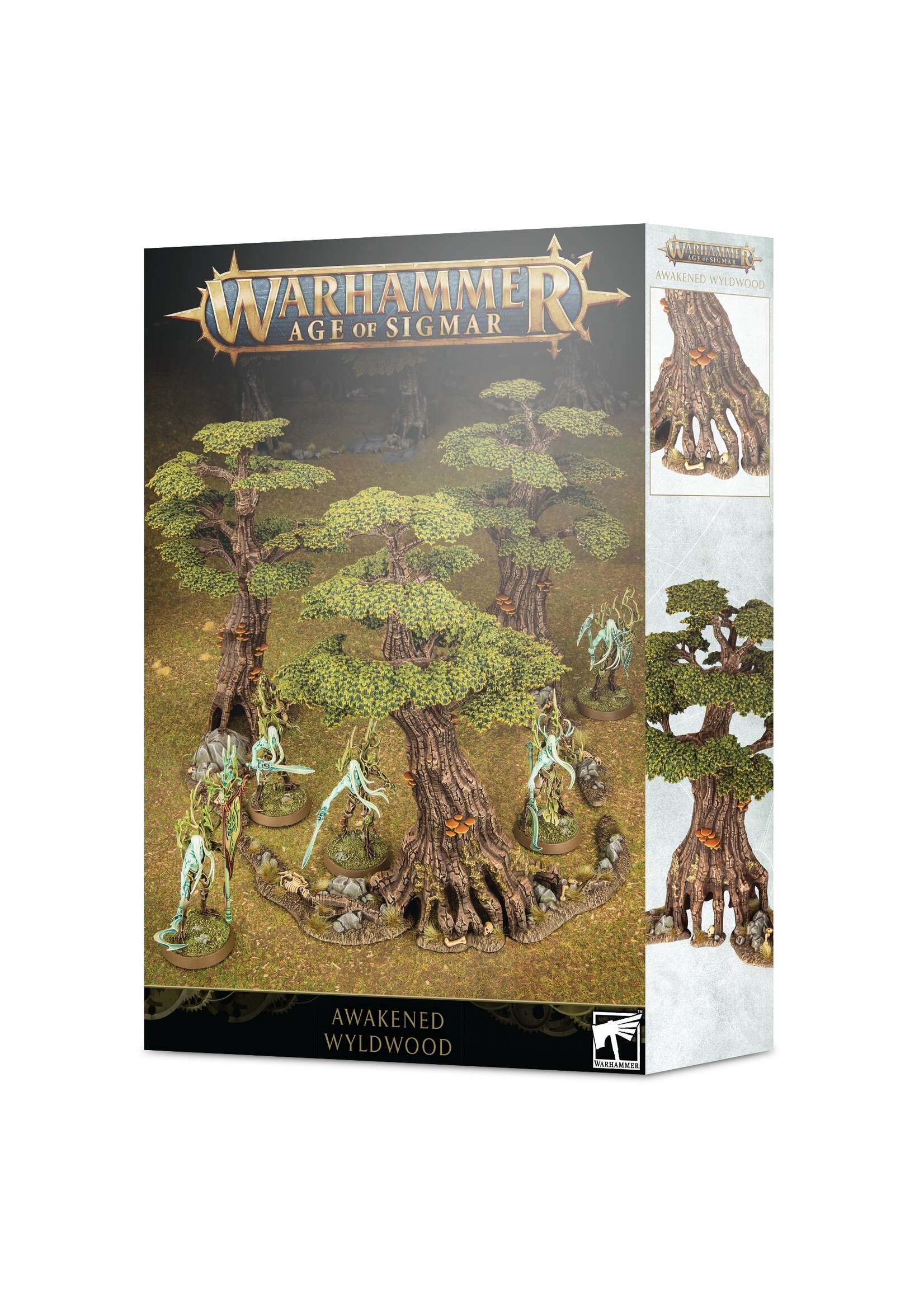 Warhammer: age of sigmar Age of Sigmar: Awakened Wyldwood