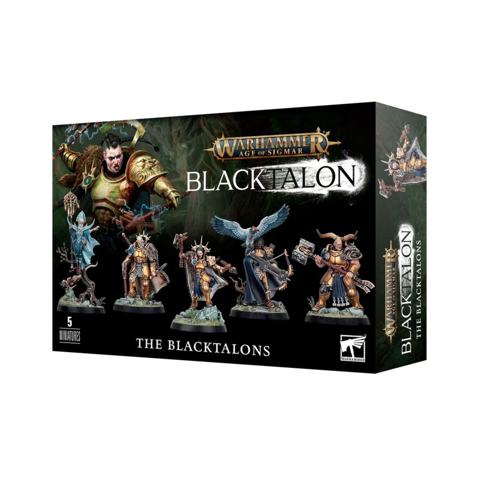 Warhammer: age of sigmar Stormcast Eternals: The Black Talons
