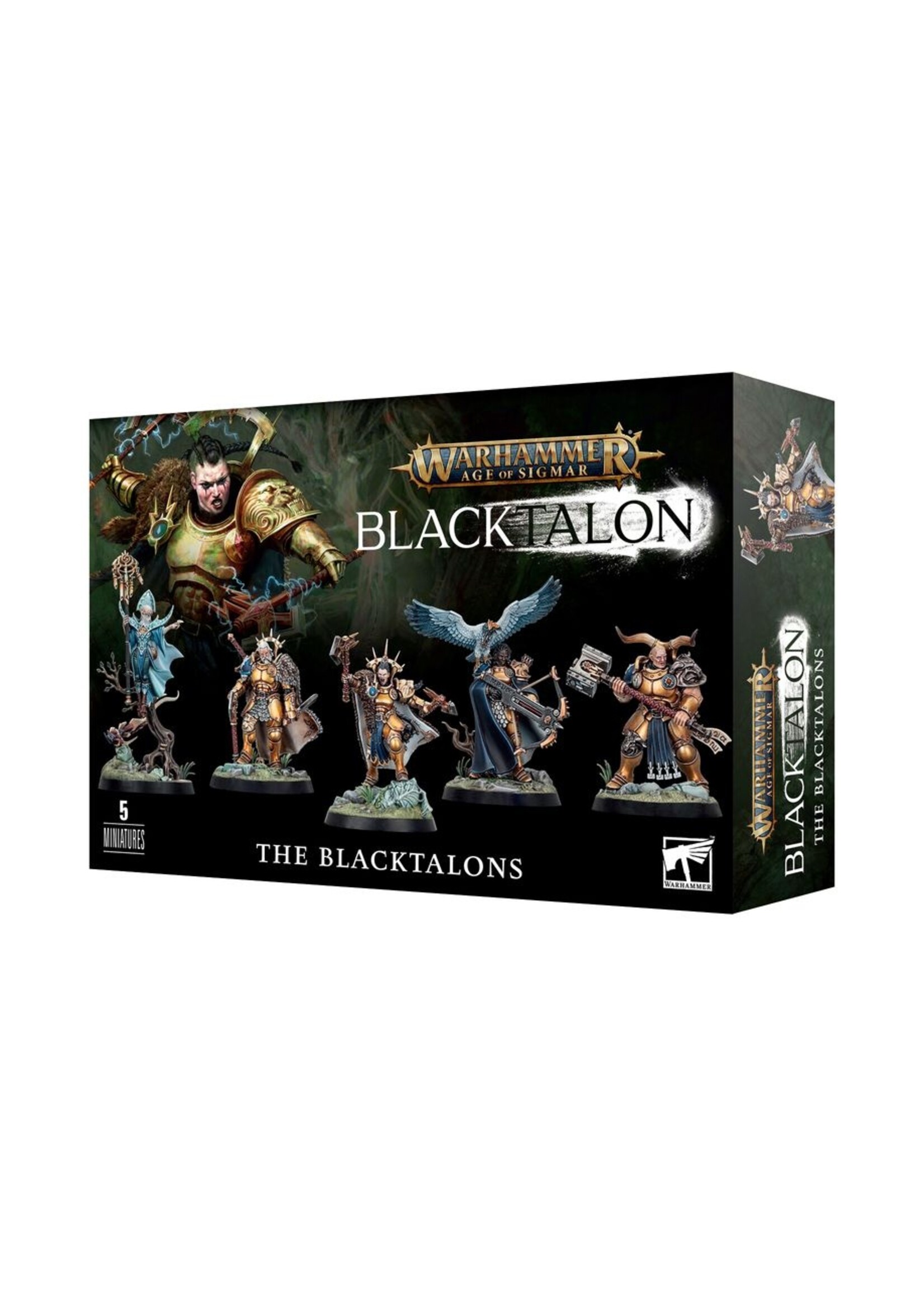 Warhammer: age of sigmar Stormcast Eternals: The Black Talons