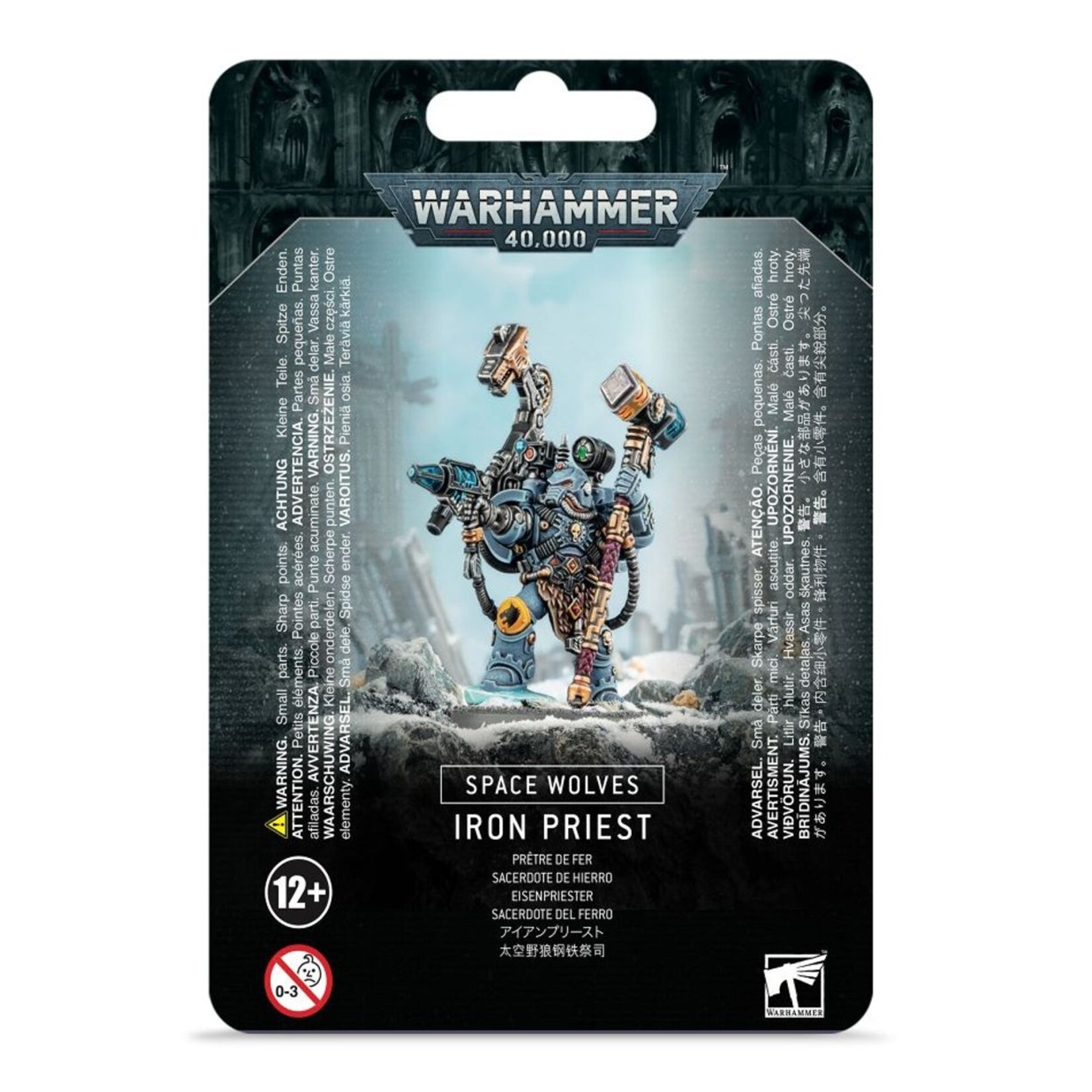 Warhammer: 40.000 Space Wolves: Iron Priest