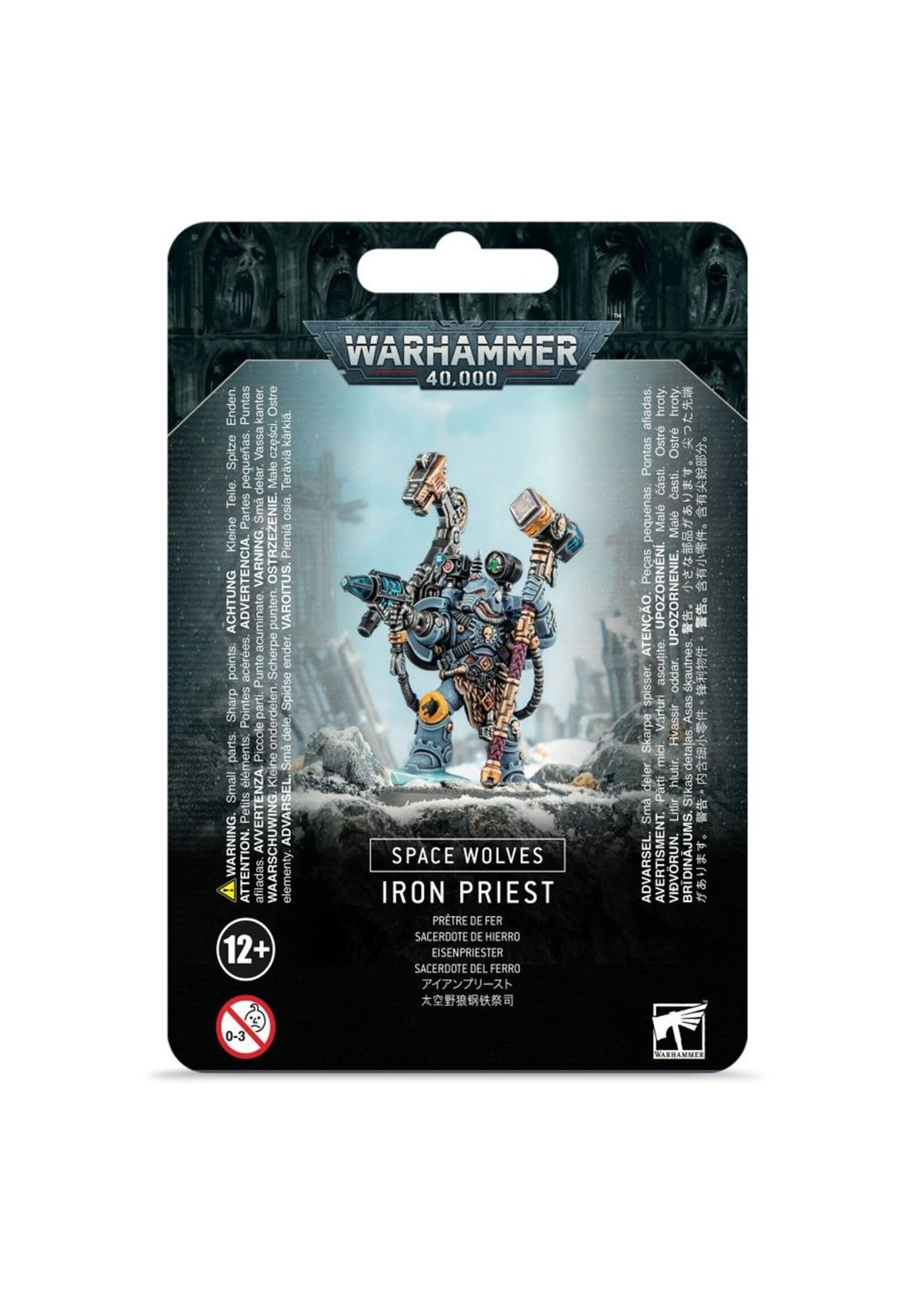 Warhammer: 40.000 Space Wolves: Iron Priest